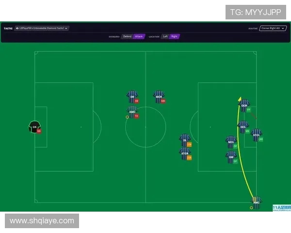 武汉排球队区域防守体系解析与战术应用探讨